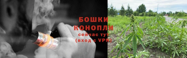 спайс Вяземский