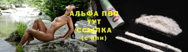 a pvp Горняк