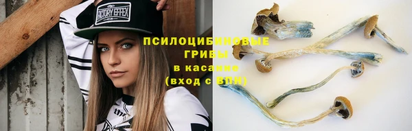 хмурый Горнозаводск