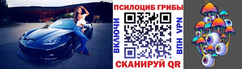 Галлюциногенные грибы прущие грибы  Купить закладки  Кстово 